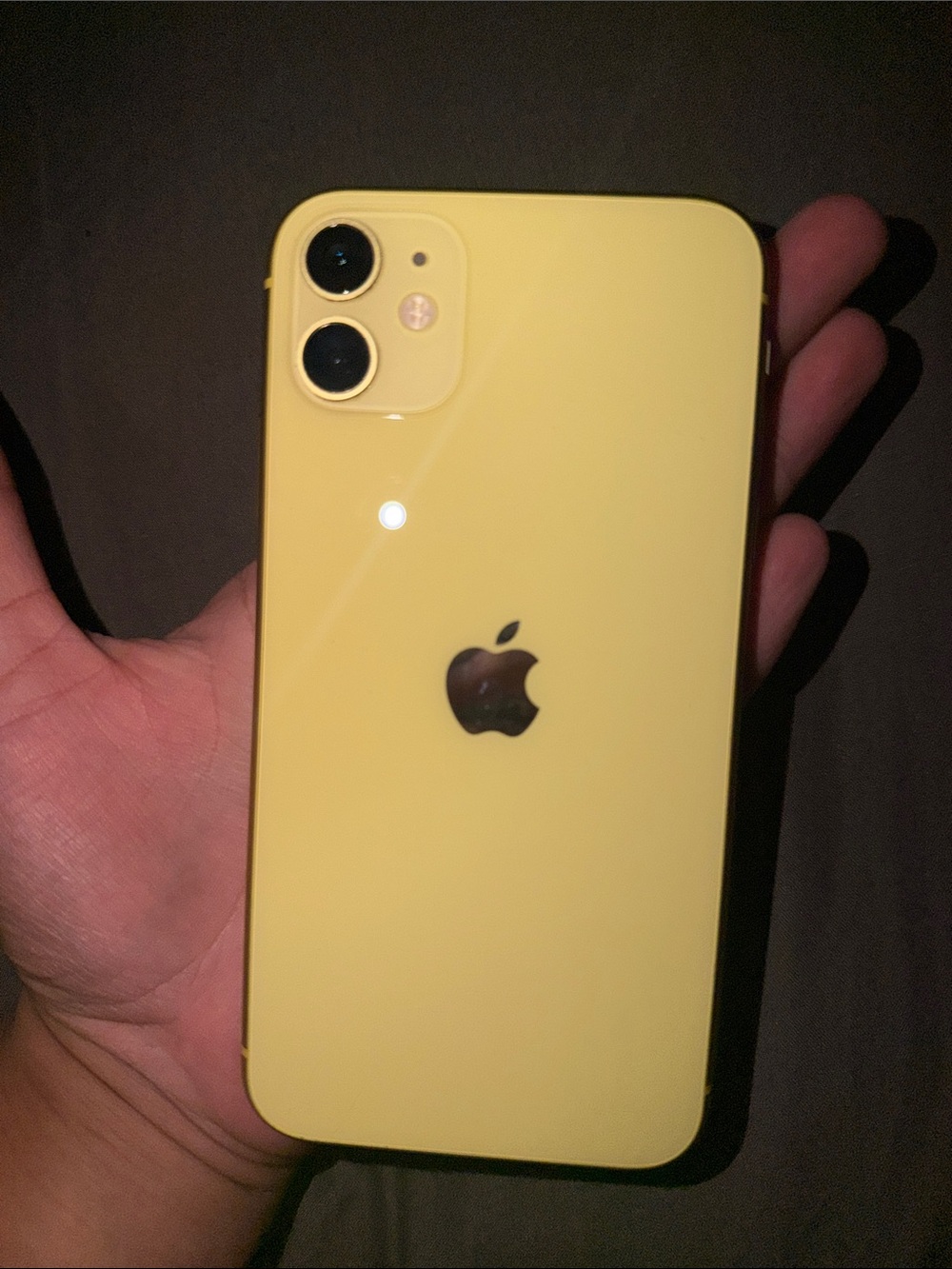 Apple Yellow iPhone with Dual Camera